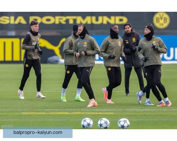 五大联赛绿茵表现稳健，持续吸引全球球迷关注